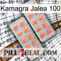 Kamagra Jelly 100 27